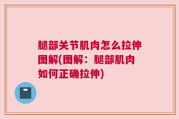 腿部关节肌肉怎么拉伸图解(图解：腿部肌肉如何正确拉伸)