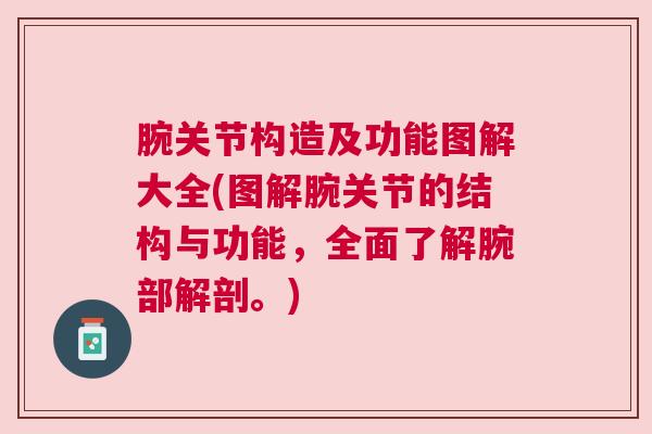 腕关节构造及功能图解大全(图解腕关节的结构与功能，全面了解腕部解剖。)