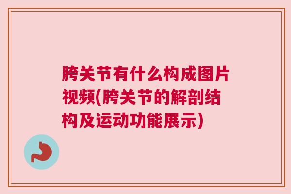 胯关节有什么构成图片视频(胯关节的解剖结构及运动功能展示)