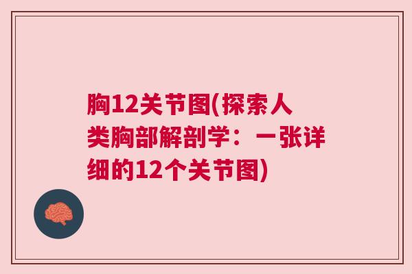胸12关节图(探索人类胸部解剖学:一张详细的12个关节图) 胸12关节图(探索人类胸部解剖学:一张详细的12个关节图)