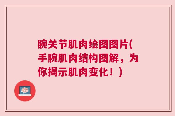 腕关节肌肉绘图图片(手腕肌肉结构图解，为你揭示肌肉变化！)