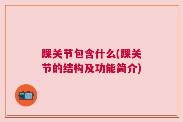 踝关节包含什么(踝关节的结构及功能简介)