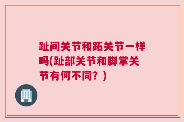 趾间关节和跖关节一样吗(趾部关节和脚掌关节有何不同？)