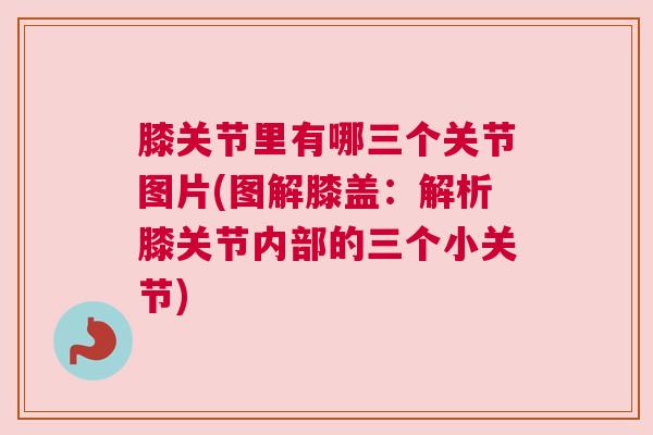 膝关节里有哪三个关节图片(图解膝盖：解析膝关节内部的三个小关节)