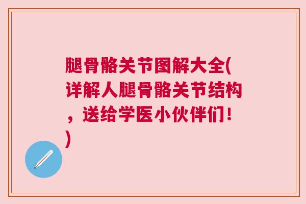 腿骨骼关节图解大全(详解人腿骨骼关节结构，送给学医小伙伴们！)