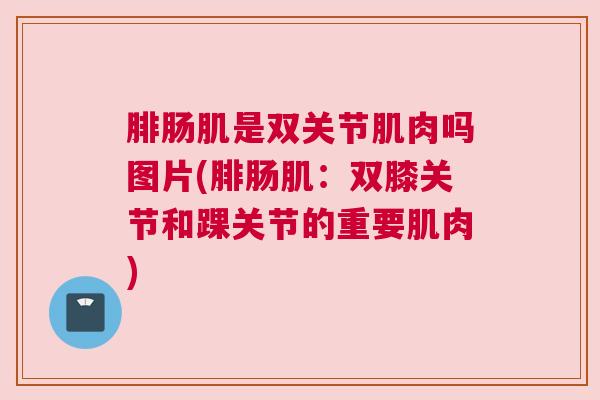 腓肠肌是双关节肌肉吗图片(腓肠肌：双膝关节和踝关节的重要肌肉)
