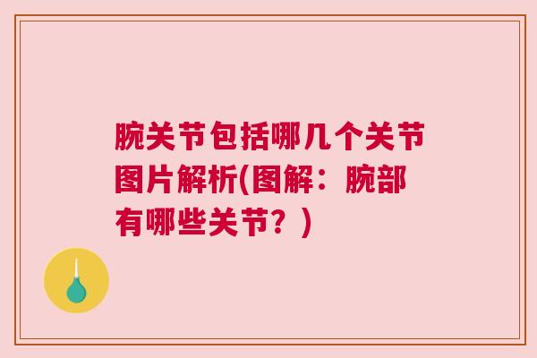腕关节包括哪几个关节图片解析(图解：腕部有哪些关节？)