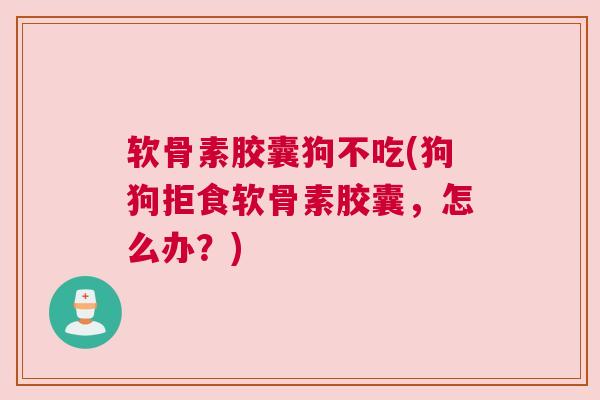 软骨素胶囊狗不吃(狗狗拒食软骨素胶囊，怎么办？)