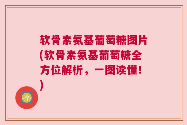 软骨素氨基葡萄糖图片(软骨素氨基葡萄糖全方位解析，一图读懂！)