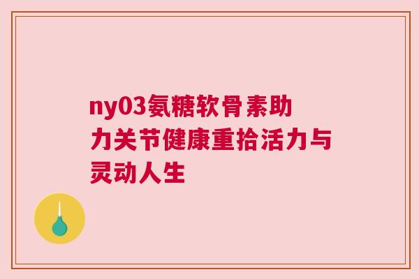 ny03氨糖软骨素助力关节健康重拾活力与灵动人生
