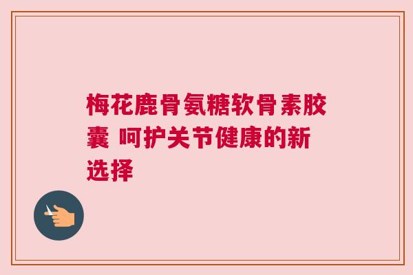 梅花鹿骨氨糖软骨素胶囊 呵护关节健康的新选择
