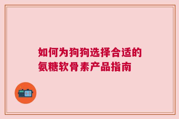 如何为狗狗选择合适的氨糖软骨素产品指南