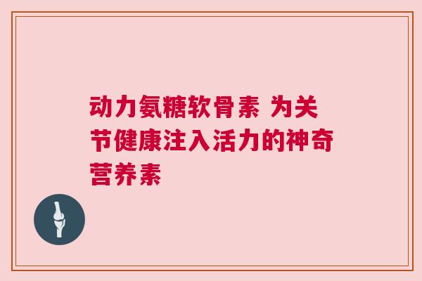 动力氨糖软骨素 为关节健康注入活力的神奇营养素