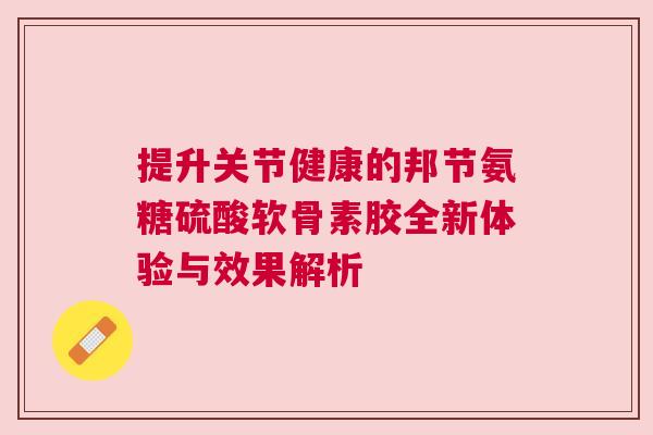 提升关节健康的邦节氨糖硫酸软骨素胶全新体验与效果解析
