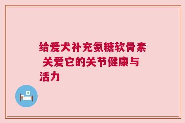 给爱犬补充氨糖软骨素 关爱它的关节健康与活力