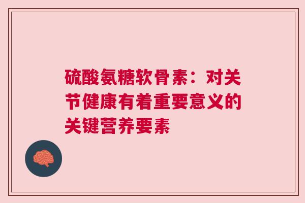 硫酸氨糖软骨素：对关节健康有着重要意义的关键营养要素