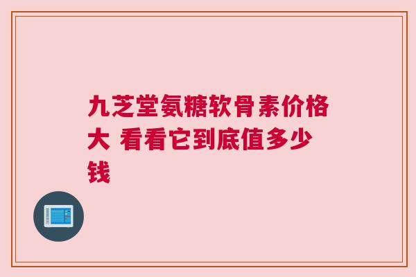 九芝堂氨糖软骨素价格大 看看它到底值多少钱