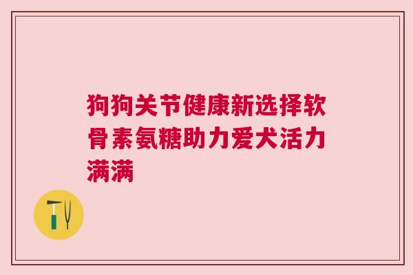 狗狗关节健康新选择软骨素氨糖助力爱犬活力满满