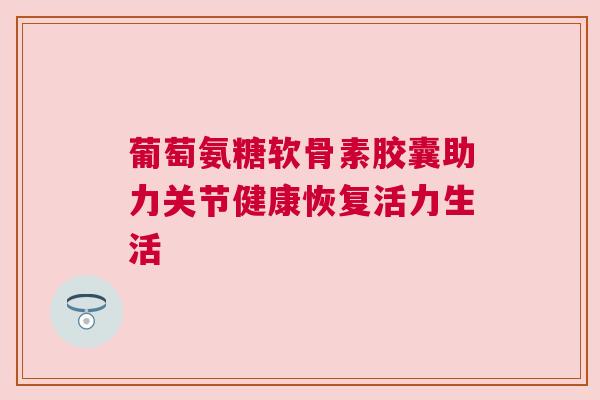 葡萄氨糖软骨素胶囊助力关节健康恢复活力生活