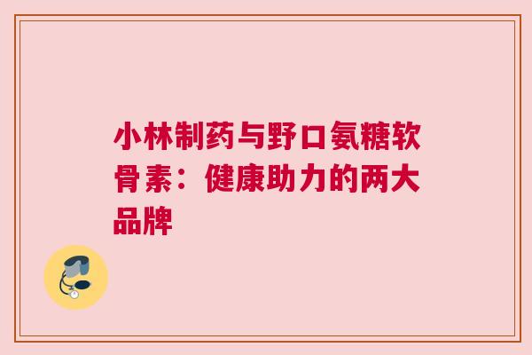 小林制药与野口氨糖软骨素：健康助力的两大品牌