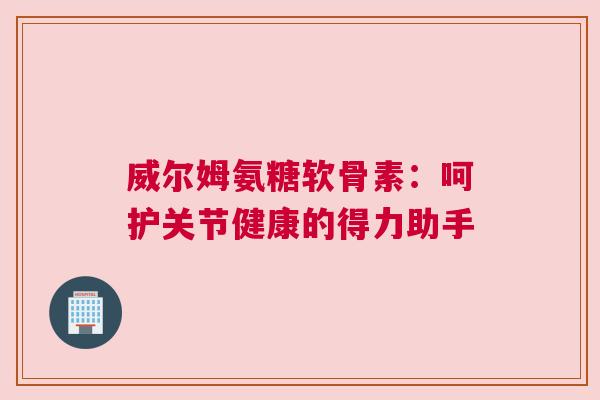 威尔姆氨糖软骨素:呵护关节健康的得力助手 威尔姆氨糖软骨素:呵护关节健康的得力助手
