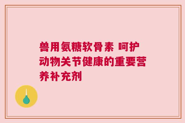 兽用氨糖软骨素 呵护动物关节健康的重要营养补充剂