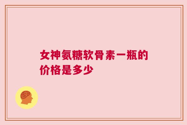 女神氨糖软骨素一瓶的价格是多少