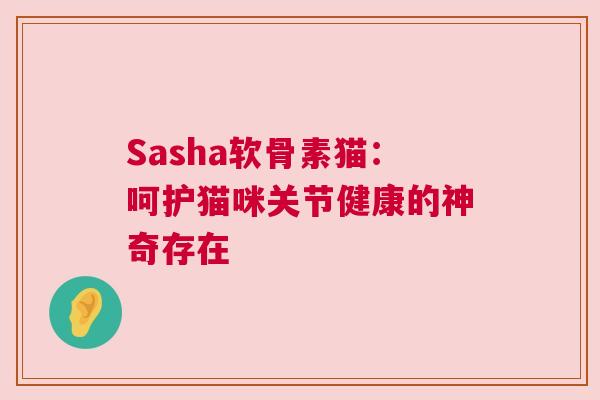 Sasha软骨素猫:呵护猫咪关节健康的神奇存在 Sasha软骨素猫:呵护猫咪关节健康的神奇存在