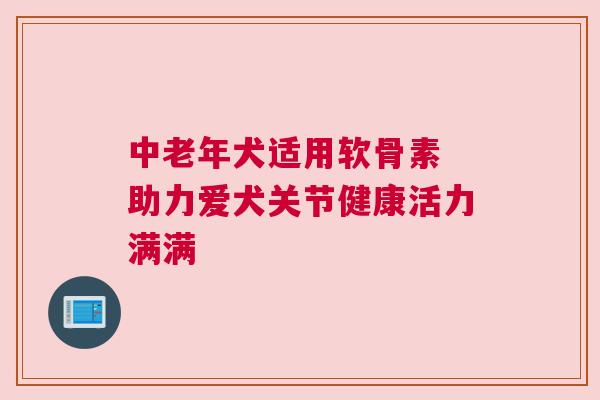 中老年犬适用软骨素 助力爱犬关节健康活力满满