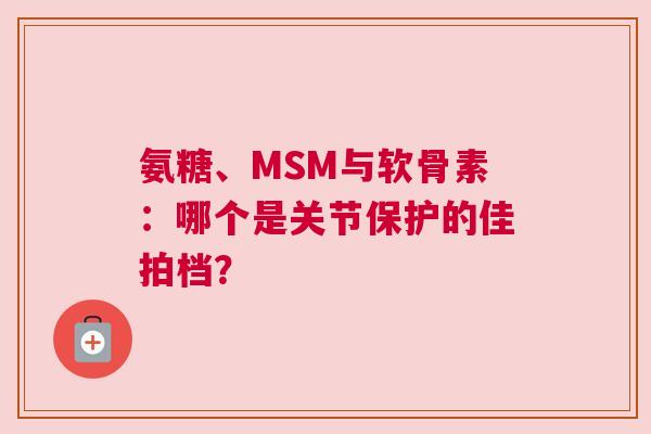 氨糖、MSM与软骨素：哪个是关节保护的佳拍档？