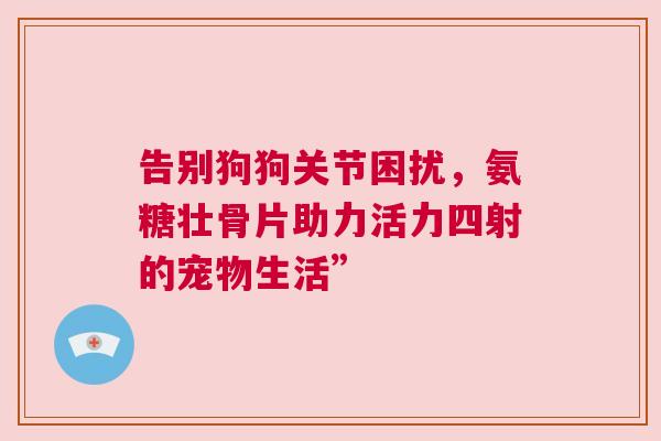 告别狗狗关节困扰，氨糖壮骨片助力活力四射的宠物生活”