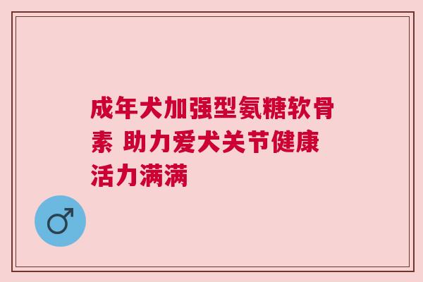 成年犬加强型氨糖软骨素 助力爱犬关节健康活力满满