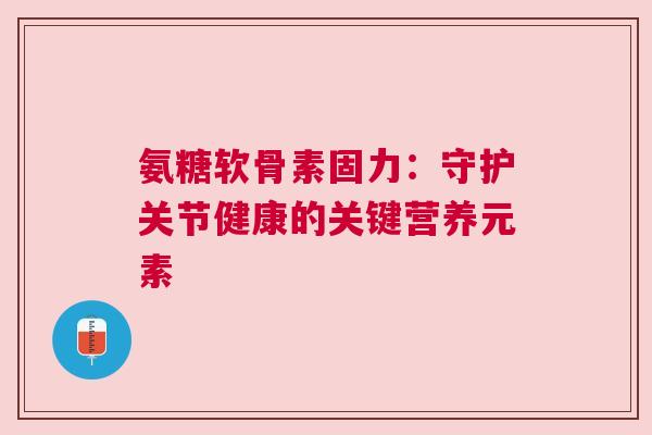 氨糖软骨素固力：守护关节健康的关键营养元素