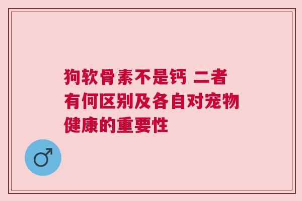 狗软骨素不是钙 二者有何区别及各自对宠物健康的重要性