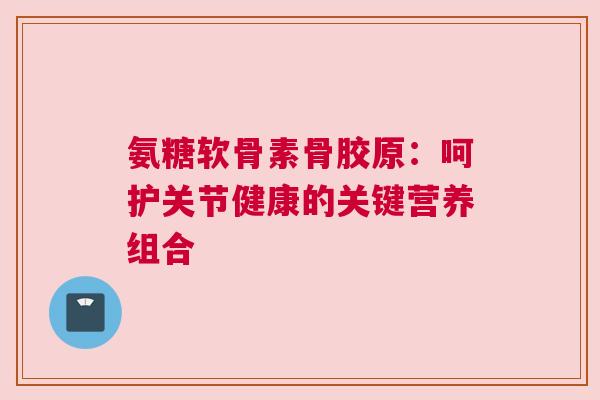 氨糖软骨素骨胶原：呵护关节健康的关键营养组合