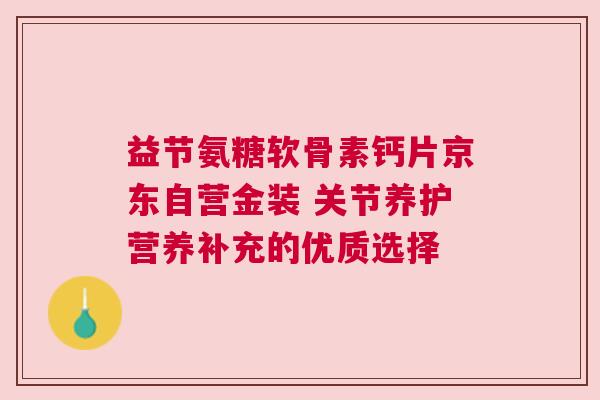 益节氨糖软骨素钙片京东自营金装 关节养护营养补充的优质选择