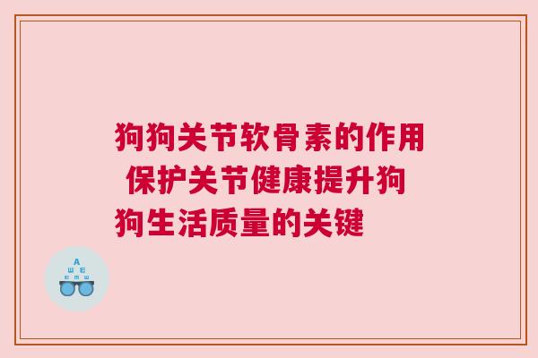 狗狗关节软骨素的作用 保护关节健康提升狗狗生活质量的关键