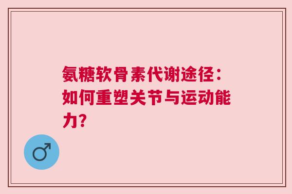 氨糖软骨素代谢途径：如何重塑关节与运动能力？