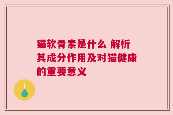 猫软骨素是什么 解析其成分作用及对猫健康的重要意义
