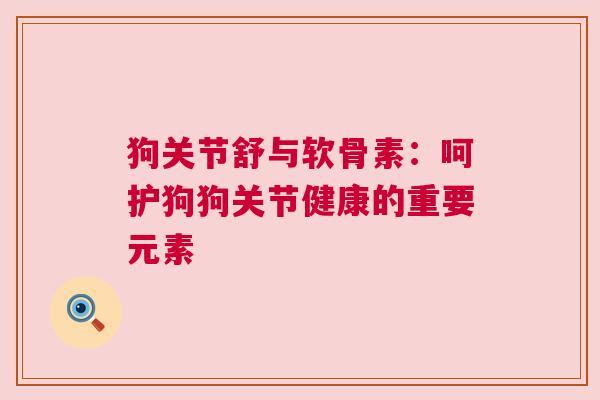 狗关节舒与软骨素：呵护狗狗关节健康的重要元素
