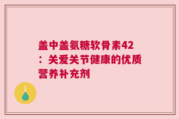 盖中盖氨糖软骨素42：关爱关节健康的优质营养补充剂