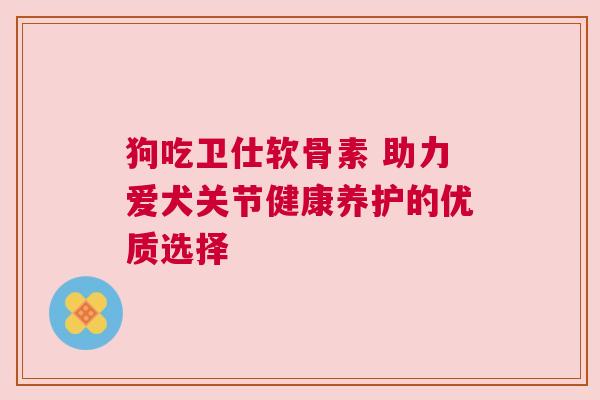 狗吃卫仕软骨素 助力爱犬关节健康养护的优质选择