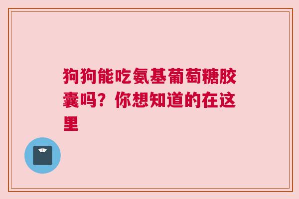 狗狗能吃氨基葡萄糖胶囊吗？你想知道的在这里