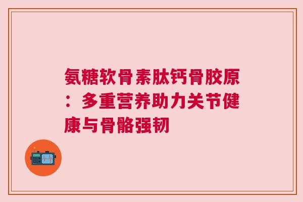 氨糖软骨素肽钙骨胶原：多重营养助力关节健康与骨骼强韧