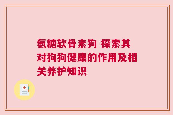 氨糖软骨素狗 探索其对狗狗健康的作用及相关养护知识