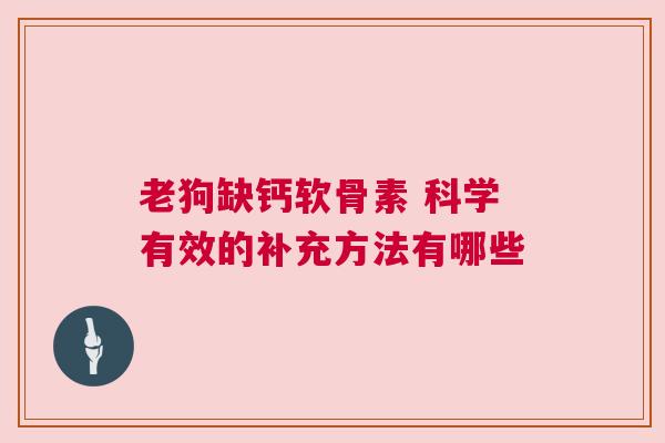 老狗缺钙软骨素 科学有效的补充方法有哪些