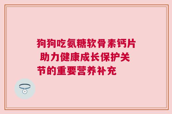 狗狗吃氨糖软骨素钙片 助力健康成长保护关节的重要营养补充