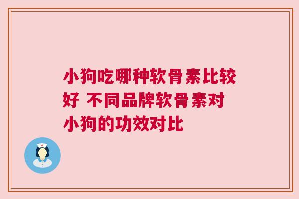 小狗吃哪种软骨素比较好 不同品牌软骨素对小狗的功效对比