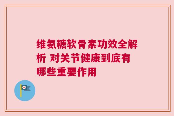 维氨糖软骨素功效全解析 对关节健康到底有哪些重要作用
