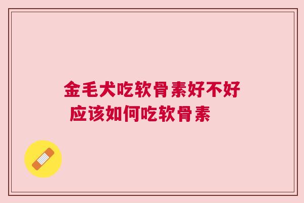 金毛犬吃软骨素好不好 应该如何吃软骨素